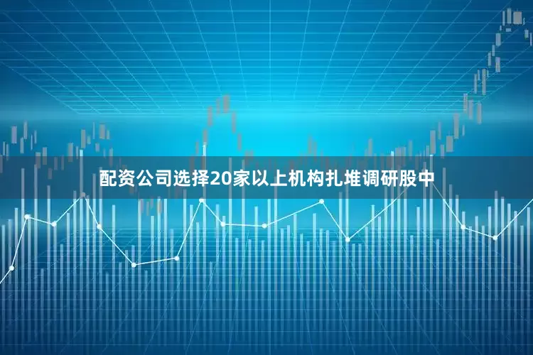 配资公司选择20家以上机构扎堆调研股中