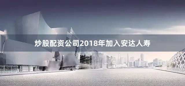 炒股配资公司2018年加入安达人寿