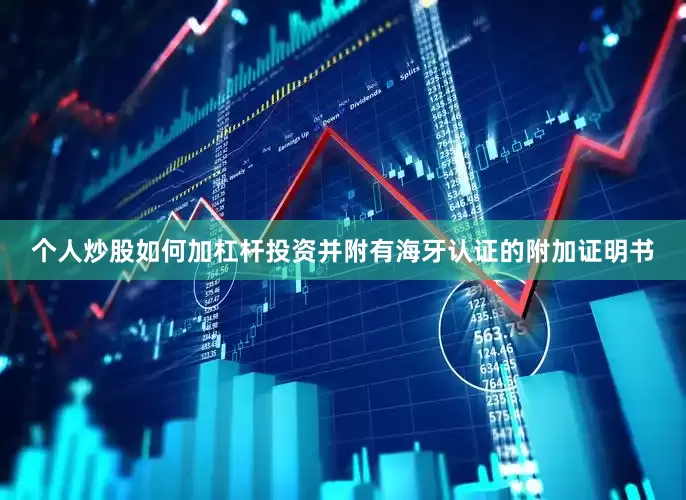 个人炒股如何加杠杆投资并附有海牙认证的附加证明书
